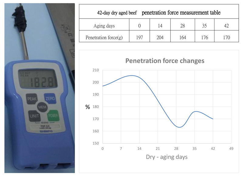 描述: D:\April 28, 2017\Libraries\Documents\Quality control Test instrument and meter\42-day dry aged beef penetration force measurement curve.jpg